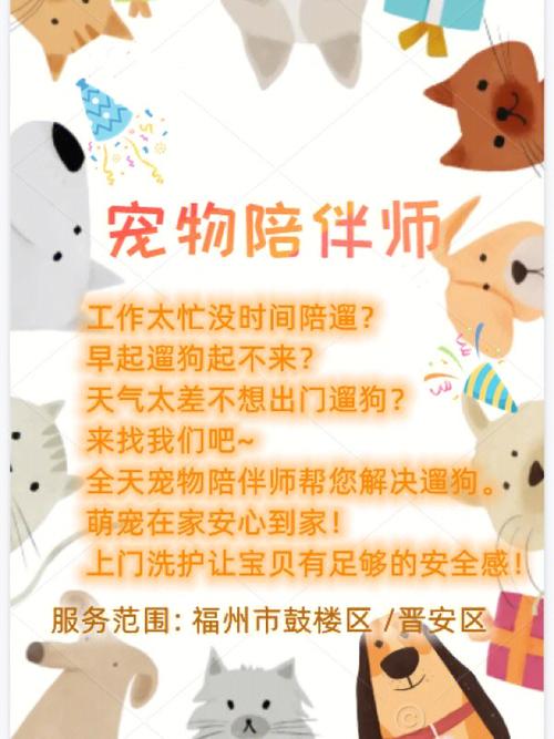 养小鸡宠物文案怎么写-第1张图片-彩蝶百科