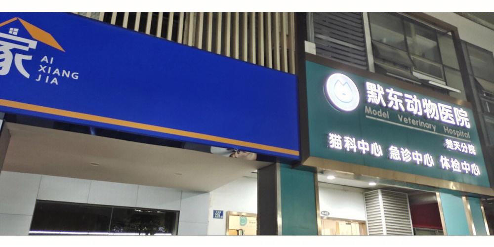 合肥市宠物医院安乐死上门-第1张图片-彩蝶百科