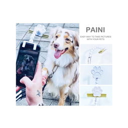 宠物用品代理商-第1张图片-彩蝶百科 宠物用品代理商-第1张图片-彩蝶百科