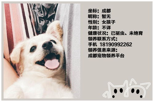 杭州宠物微信群-第1张图片-彩蝶百科 杭州宠物微信群-第1张图片-彩蝶百科