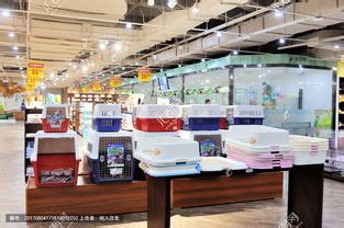 宠物店一般有什么宠物-第1张图片-彩蝶百科