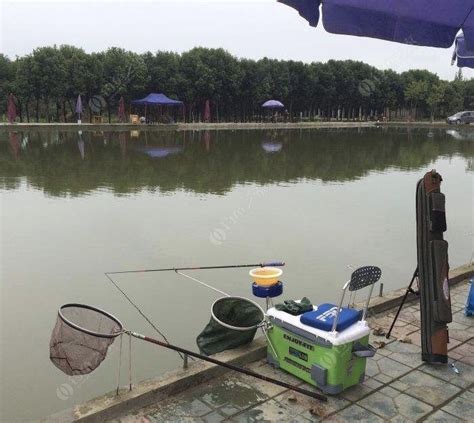 垂钓露营基地-第1张图片-彩蝶百科 垂钓露营基地-第1张图片-彩蝶百科