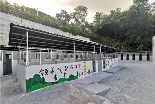 宠物收容中心电话-第1张图片-彩蝶百科