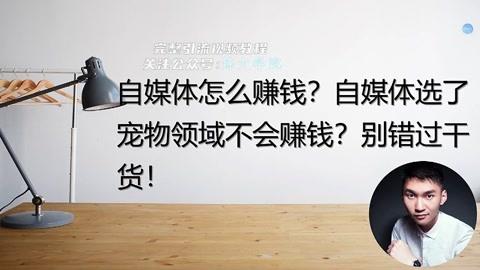 宠物领域什么最赚钱呢-第1张图片-彩蝶百科 宠物领域什么最赚钱呢-第1张图片-彩蝶百科