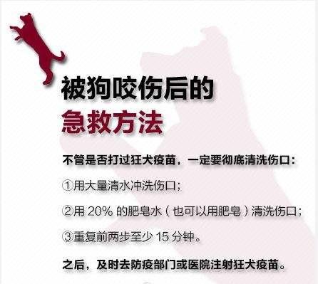 被宠物猫无意抓伤了需要打针吗-第1张图片-彩蝶百科