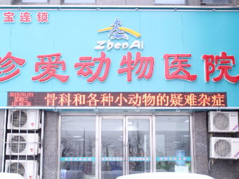 大连太康宠物医院地址-第1张图片-彩蝶百科