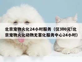 基础火化费用-第1张图片-彩蝶百科