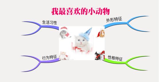 我的宠物思维导图英语-第1张图片-彩蝶百科 我的宠物思维导图英语-第1张图片-彩蝶百科