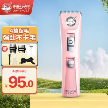 宠物美容需要注意什么-第1张图片-彩蝶百科 宠物美容需要注意什么-第1张图片-彩蝶百科