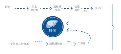 儿童营养不良大数据分析与应对-第1张图片-彩蝶百科