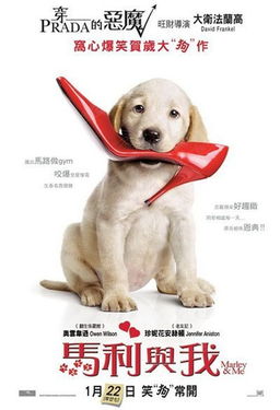 妈妈的宠物帆船-第1张图片-彩蝶百科
