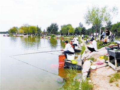 天津市内垂钓-第1张图片-彩蝶百科