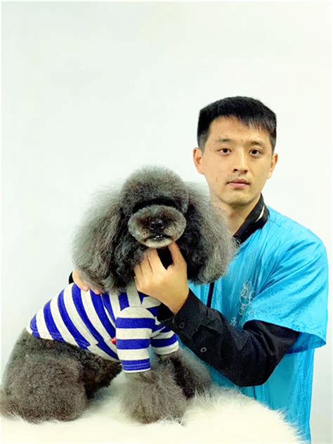 昆明哪里有学宠物美容的培训班-第1张图片-彩蝶百科