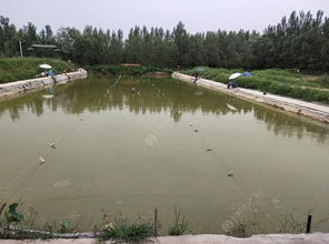 垂钓怎么收费合适-第1张图片-彩蝶百科 垂钓怎么收费合适-第1张图片-彩蝶百科