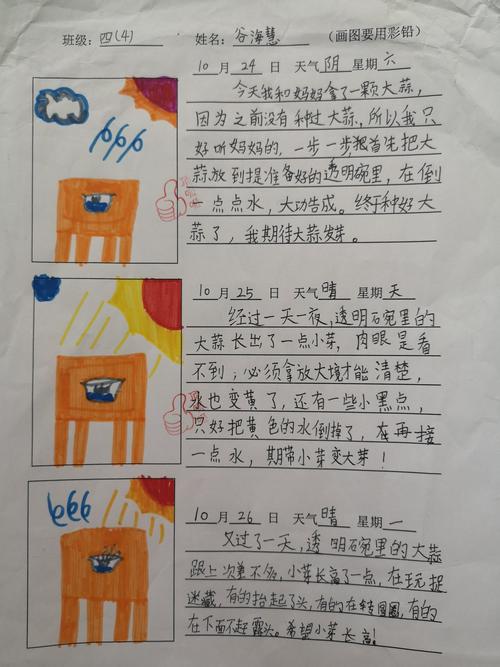 行业趋势-第1张图片-彩蝶百科