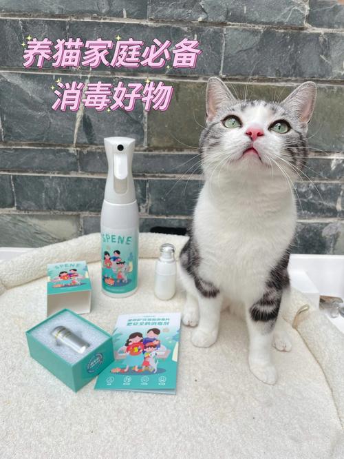 宠物误食次氯酸消毒液-第1张图片-彩蝶百科 宠物误食次氯酸消毒液-第1张图片-彩蝶百科