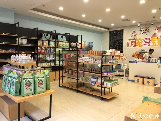 石家庄最好的宠物店-第1张图片-彩蝶百科