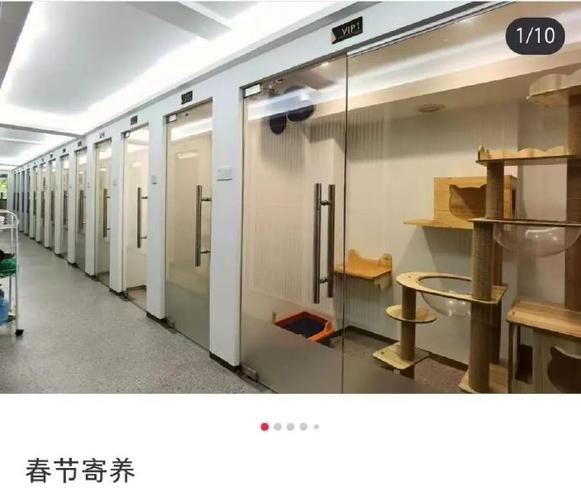寄养宠物收费-第1张图片-彩蝶百科 寄养宠物收费-第1张图片-彩蝶百科