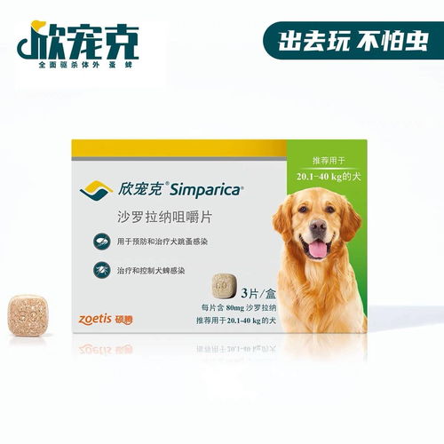 自制宠物驱虫方法-第1张图片-彩蝶百科 自制宠物驱虫方法-第1张图片-彩蝶百科