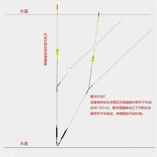 垂钓鲤鱼：寻找底游的技巧-第1张图片-彩蝶百科