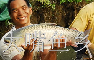 合肥北城龙虾垂钓基地电话号码-第1张图片-彩蝶百科