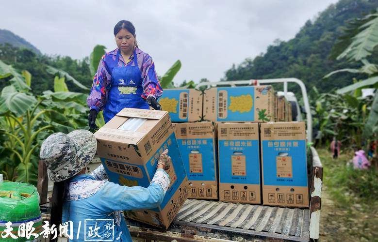 大型农贸市场对城市的就业数据-第1张图片-彩蝶百科