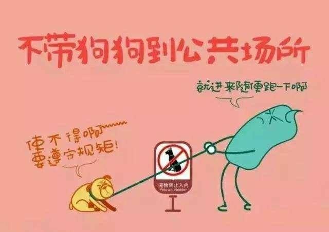 忻州宠物领养中心-第1张图片-彩蝶百科 忻州宠物领养中心-第1张图片-彩蝶百科
