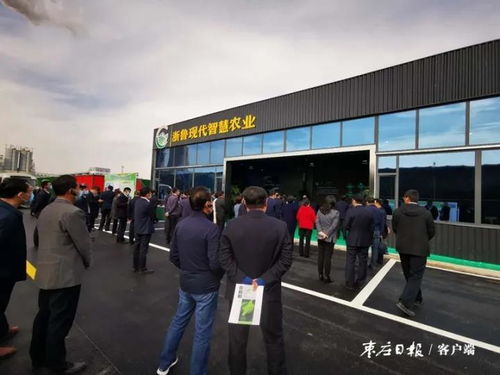 新乐市智慧城市大数据中心项目-第1张图片-彩蝶百科