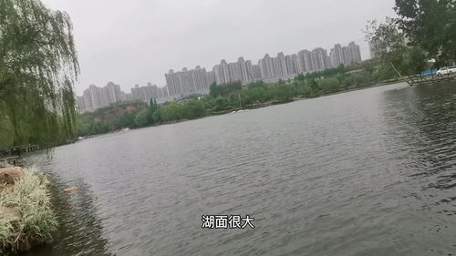 郑州哪里可以钓大鱼-第1张图片-彩蝶百科
