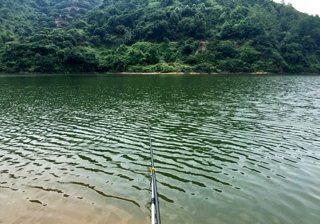 温州玉岙休闲垂钓-第1张图片-彩蝶百科 温州玉岙休闲垂钓-第1张图片-彩蝶百科