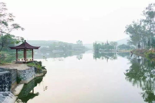 麻城附近水库好钓鱼-第1张图片-彩蝶百科