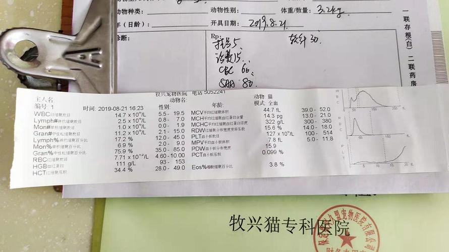 1.收集证据-第1张图片-彩蝶百科 1.收集证据-第1张图片-彩蝶百科