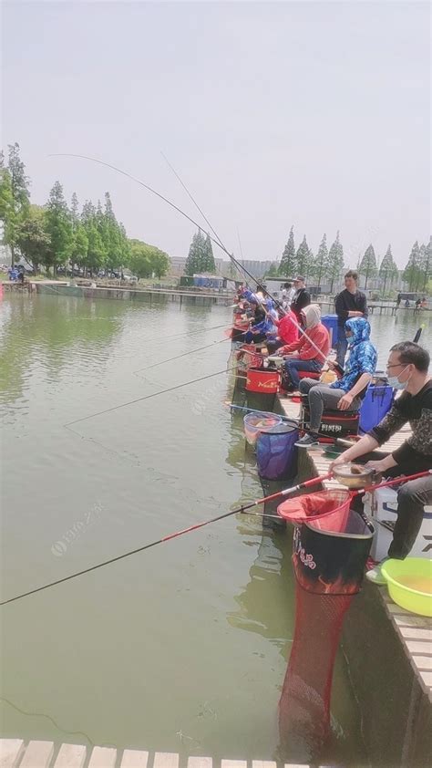 深圳周边可以钓鱼烧烤住宿一体的-第1张图片-彩蝶百科