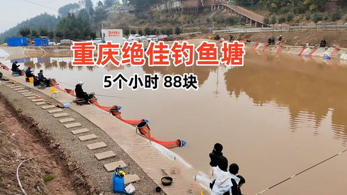 2021重庆钓鱼-第1张图片-彩蝶百科