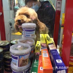 重庆宠物用品市场现状与发展趋势-第1张图片-彩蝶百科