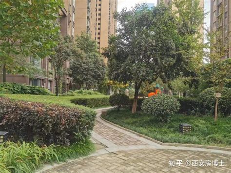 西安北郊24小时宠物医院哪里有-第1张图片-彩蝶百科 西安北郊24小时宠物医院哪里有-第1张图片-彩蝶百科