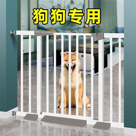 宠物狗室内围栏：选择、设置和安全注意事项-第1张图片-彩蝶百科
