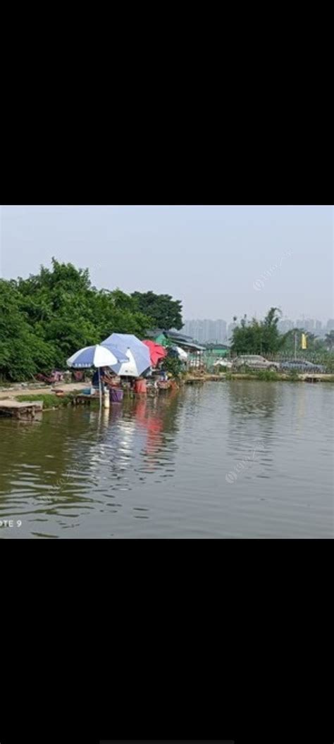 天津垂钓地点-第1张图片-彩蝶百科 天津垂钓地点-第1张图片-彩蝶百科