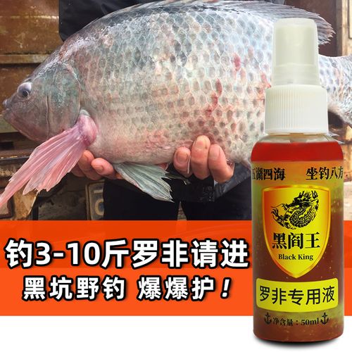 罗非鱼怎么垂钓最好-第1张图片-彩蝶百科 罗非鱼怎么垂钓最好-第1张图片-彩蝶百科