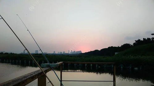 界龙生态垂钓园-第1张图片-彩蝶百科 界龙生态垂钓园-第1张图片-彩蝶百科