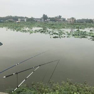 1.了解垂钓场所-第1张图片-彩蝶百科 1.了解垂钓场所-第1张图片-彩蝶百科