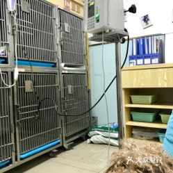 大兴黄村宠物医院24小时营业-第1张图片-彩蝶百科 大兴黄村宠物医院24小时营业-第1张图片-彩蝶百科