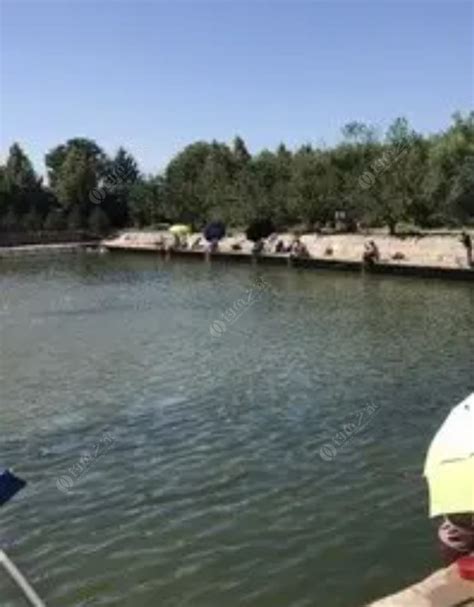 白洋淀钓场-第1张图片-彩蝶百科