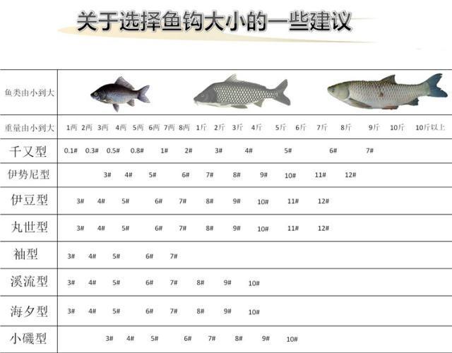 鱼塘垂钓钓位搭建-第1张图片-彩蝶百科