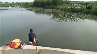俱乐部简介-第1张图片-彩蝶百科