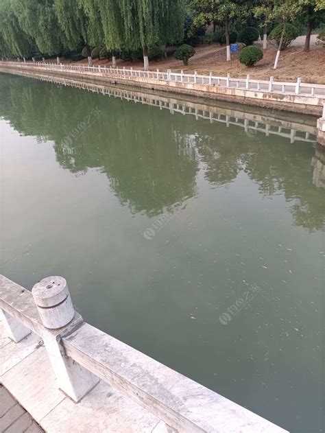 沂河垂钓地点有哪些-第1张图片-彩蝶百科