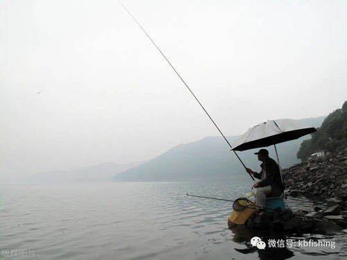 游钓和垂钓的区别-第1张图片-彩蝶百科 游钓和垂钓的区别-第1张图片-彩蝶百科