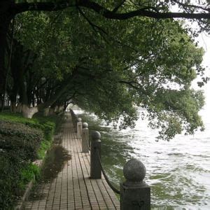 地理位置和环境-第1张图片-彩蝶百科