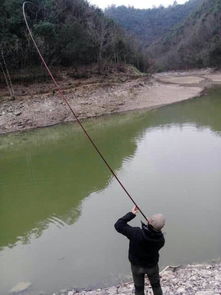 月湾垂钓休闲酒店-第1张图片-彩蝶百科 月湾垂钓休闲酒店-第1张图片-彩蝶百科