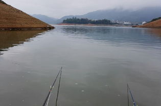 彭山野钓-第1张图片-彩蝶百科